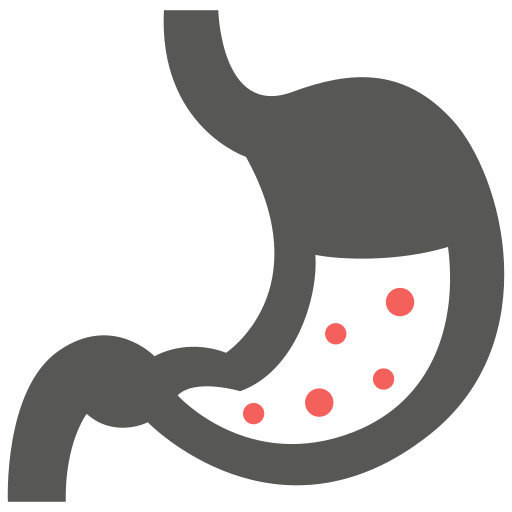 Digestive Issues